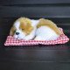 Plush Dogs for Car Dashboards Plush Dogs for Car Dashboards