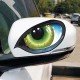Eagle Eyes Car Styling Decals | Universal Vinyl Sticker Eagle Eyes Car Styling Decals | Universal Vinyl Sticker