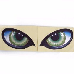 Eagle Eyes Car Styling Decals | Universal Vinyl Sticker
