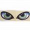 Eagle Eyes Car Styling Decals | Universal Vinyl Sticker