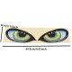 Eagle Eyes Car Styling Decals | Universal Vinyl Sticker Eagle Eyes Car Styling Decals | Universal Vinyl Sticker