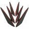 Car Front Bumper Spoiler Fin Canards 6 Pack | Universal Fit | Carbon Fiber & Black