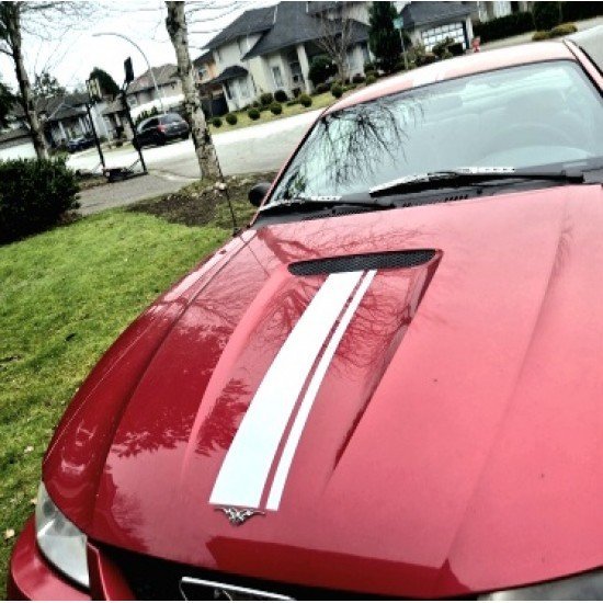 Car Hood Styling Stripe Decals | Universal Racing Vinyl Stripes (6 Colors)
