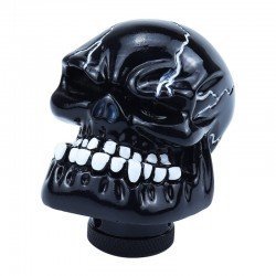 Black Skull Head Car Gear Shift Knob Universal Fit