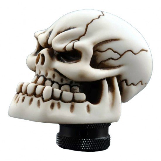 Bone Skull Head Car Gear Shift Knob Universal Fit