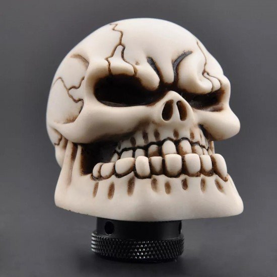 Bone Skull Head Car Gear Shift Knob Universal Fit