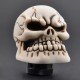Bone Skull Head Car Gear Shift Knob Universal Fit