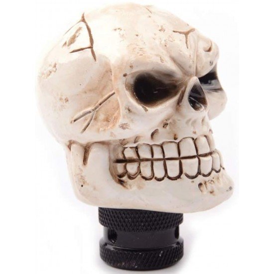 Skull & Brain Car Gear Shift Knob - Universal Fit Skull & Brain Car Gear Shift Knob - Universal Fit