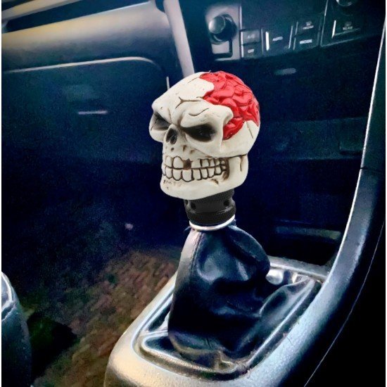 Skull & Brain Car Gear Shift Knob - Universal Fit Skull & Brain Car Gear Shift Knob - Universal Fit